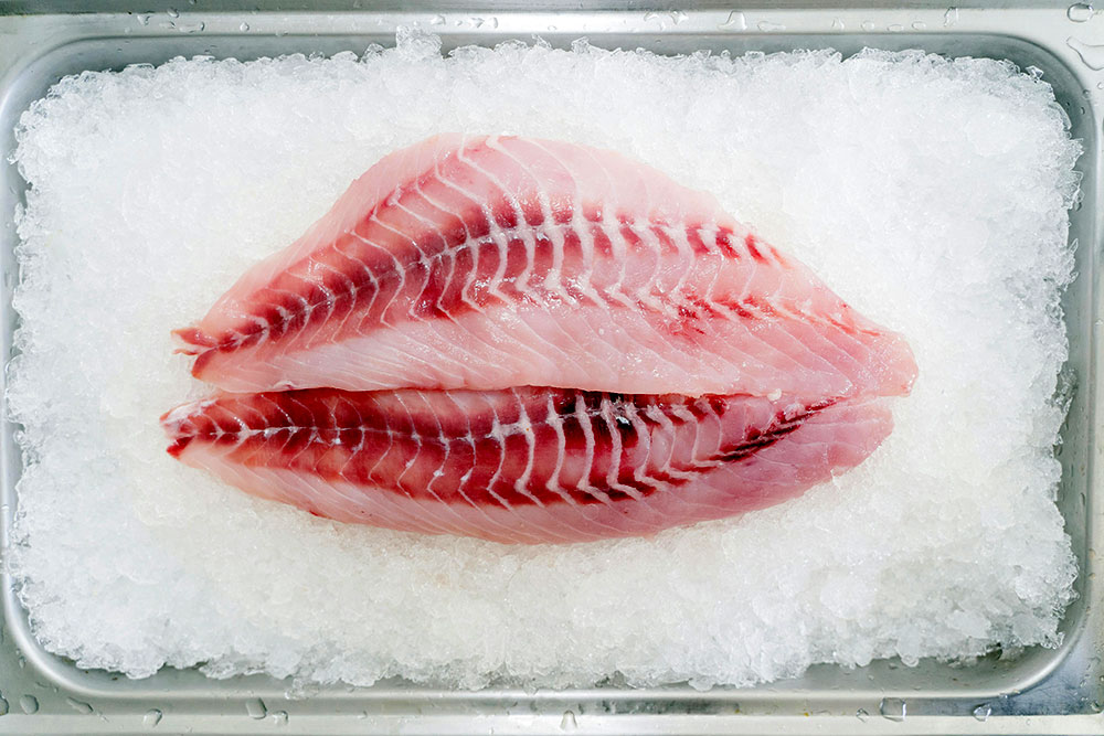 Fisch & Fleisch