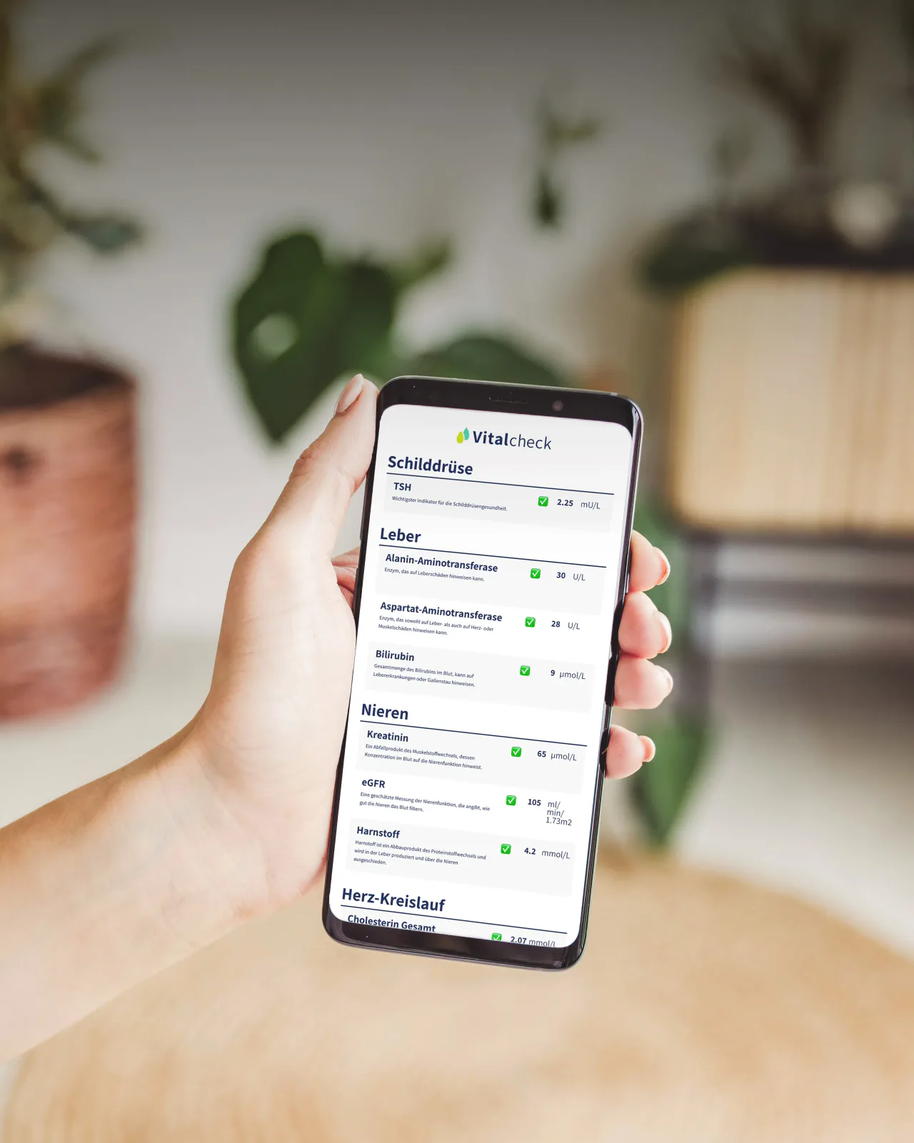 Vitalcheck Blut-Checkup Resultate auf dem Smartphone