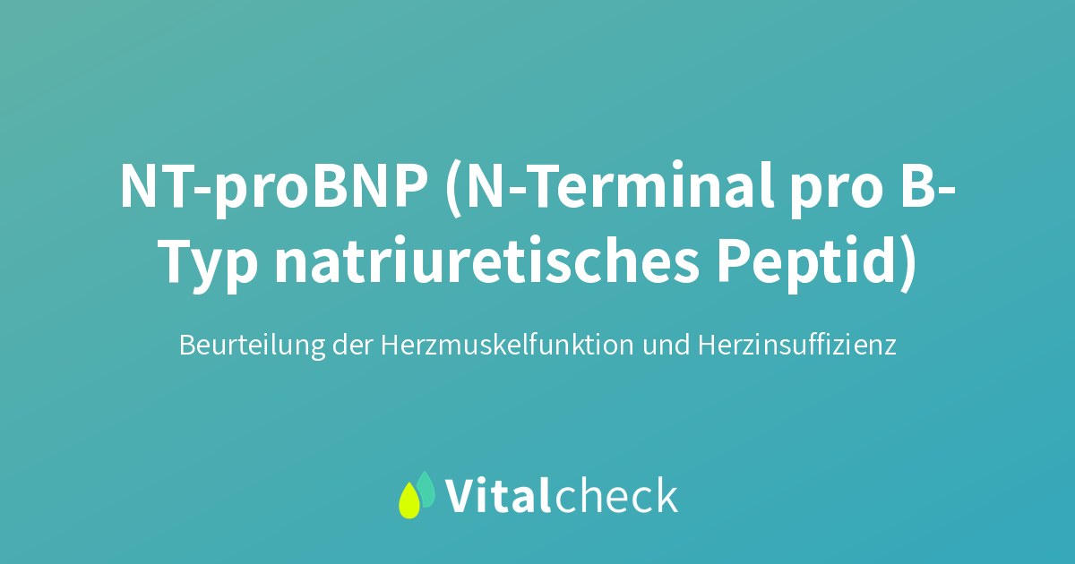 Cleartest NT-pro BNP Herzinsuffizienzmarker | 5 Stück Cleartest NT-pro BNP Herzinsuffizienzmarker | 5 Stück