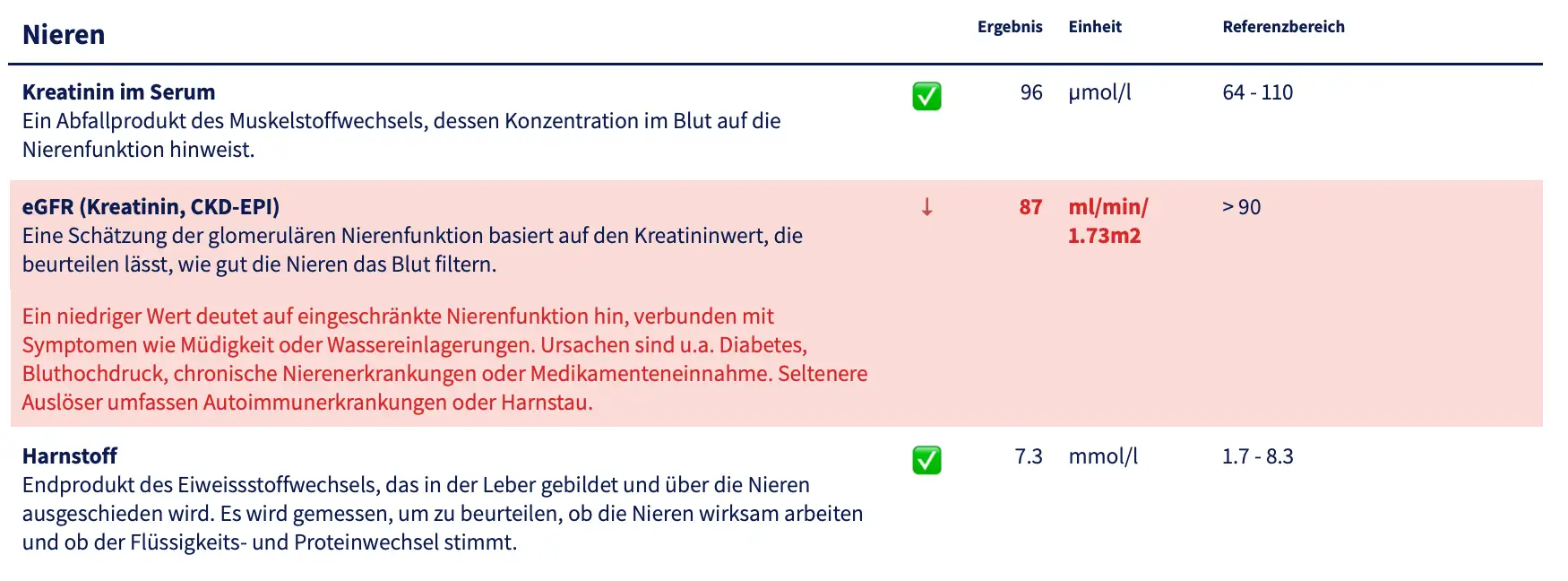 Beispiel eines verständlich erklärten Laborberichts